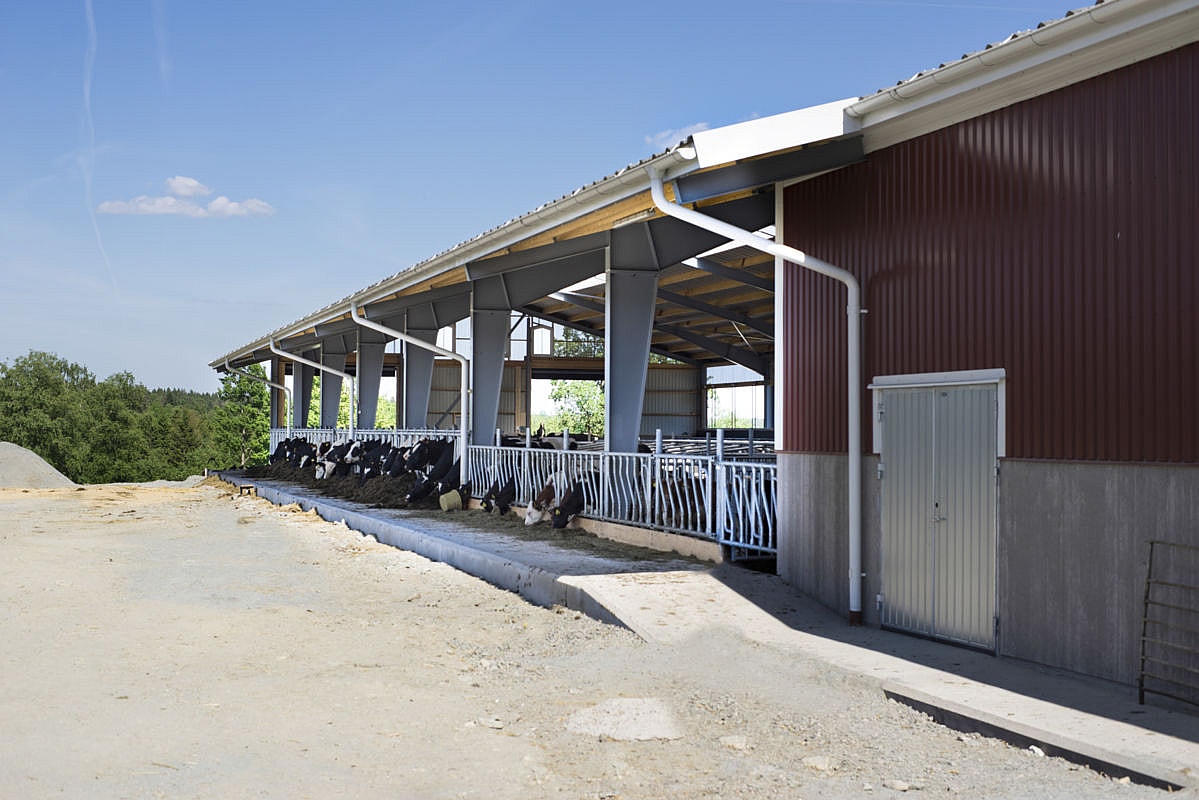 Djurstall, Ljung | BYGGLANT