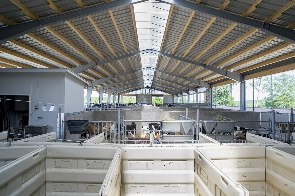 Djurstall, Ljung | BYGGLANT