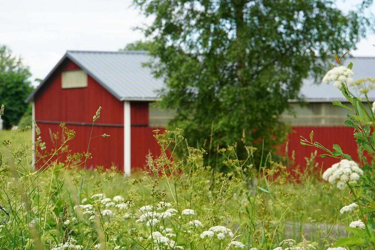 Maskinhall, Flisby | BORGA