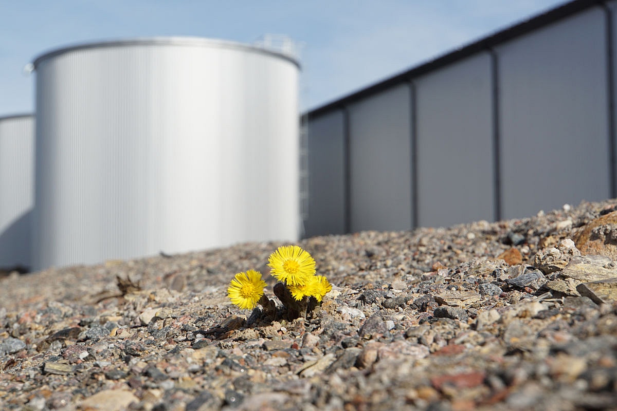 Lager, Kumla | BORGA