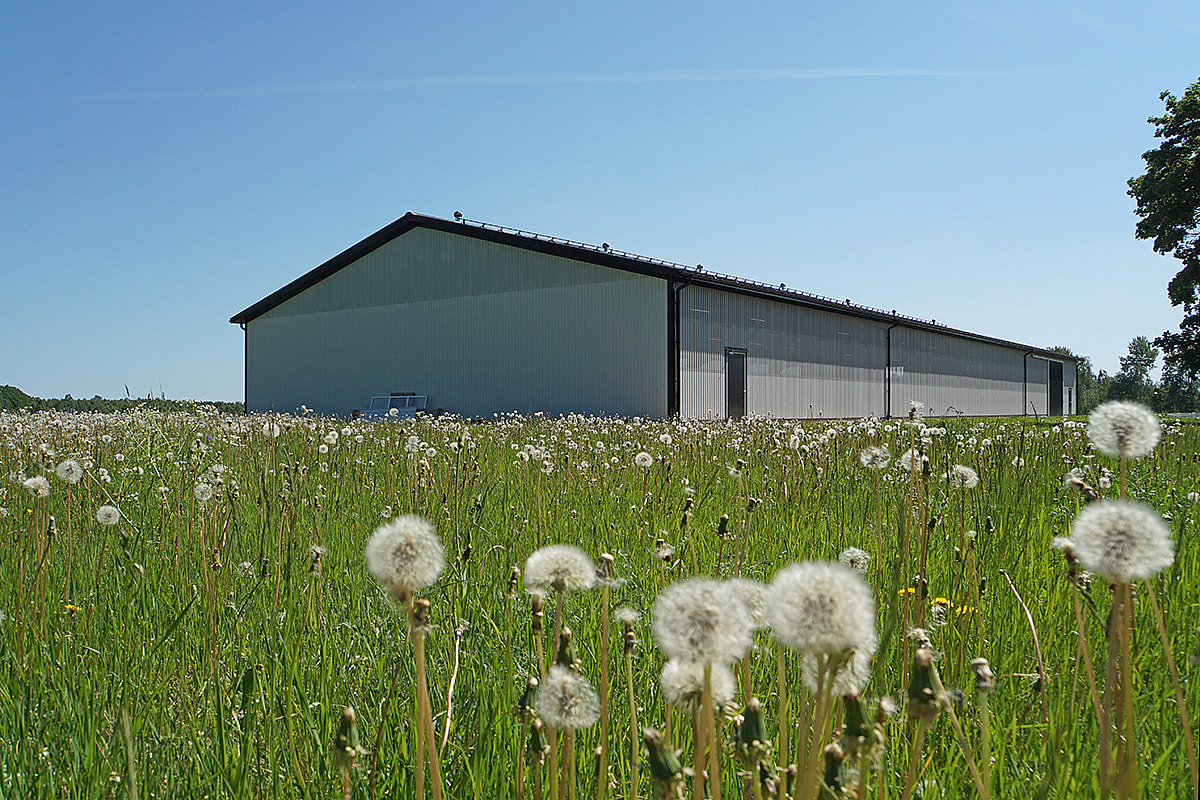 Ridhus, Avesta | BORGA