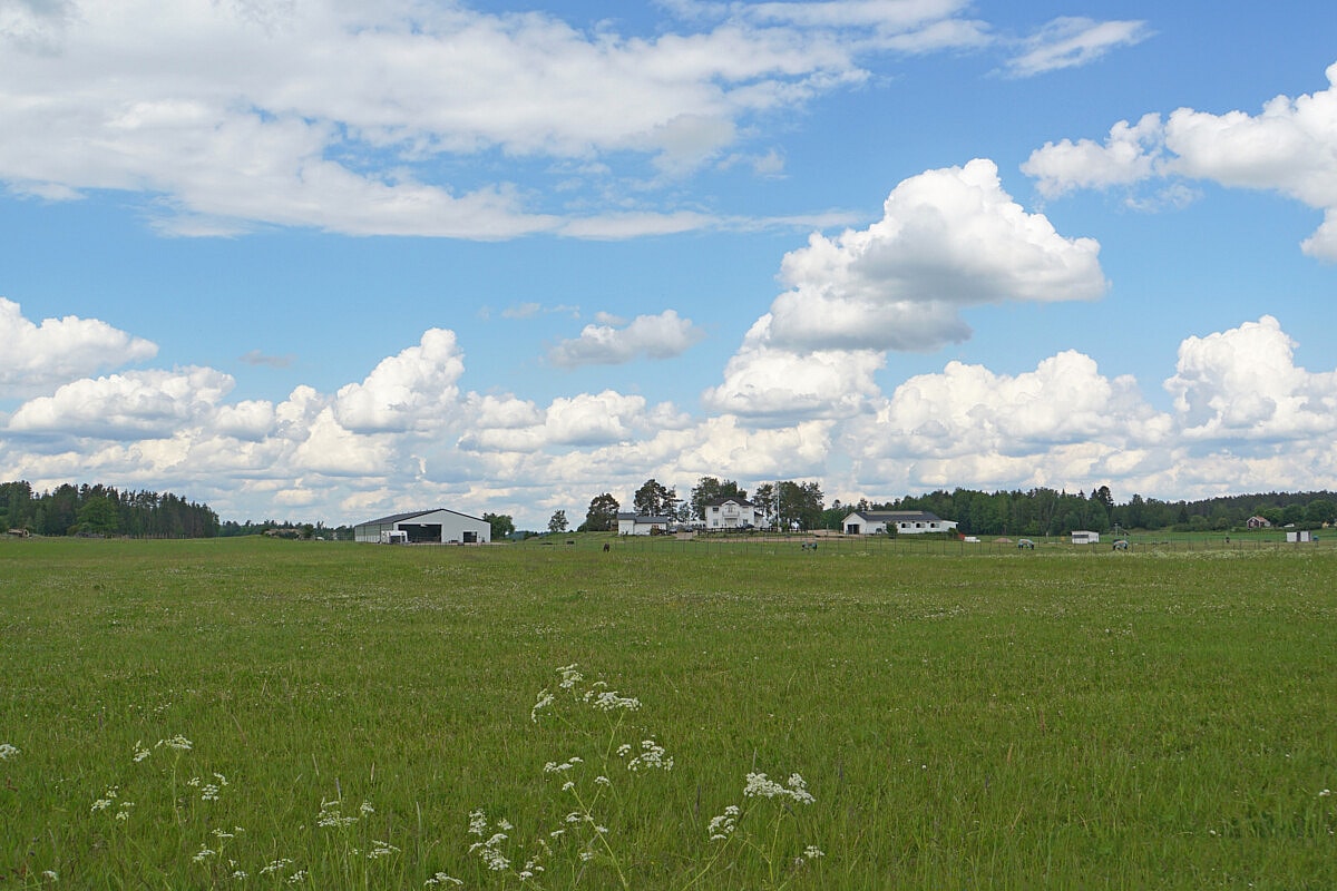 Ridhus, Köping | BORGA