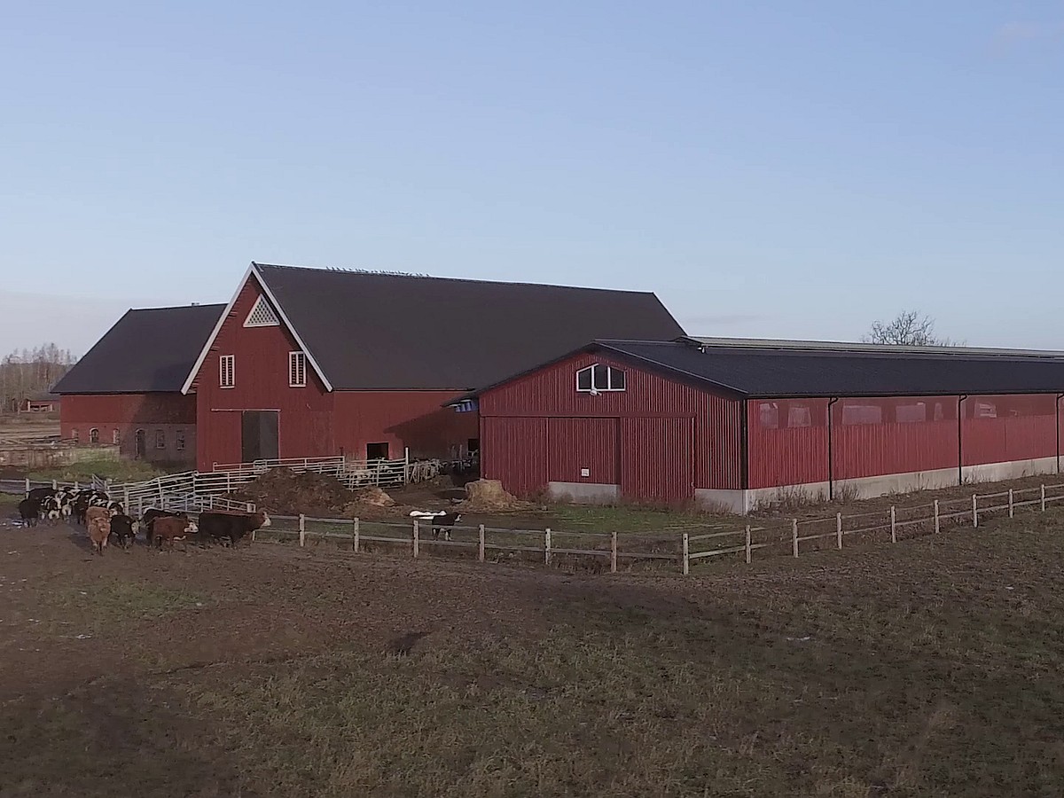 Djurstall, Skövde | BORGA