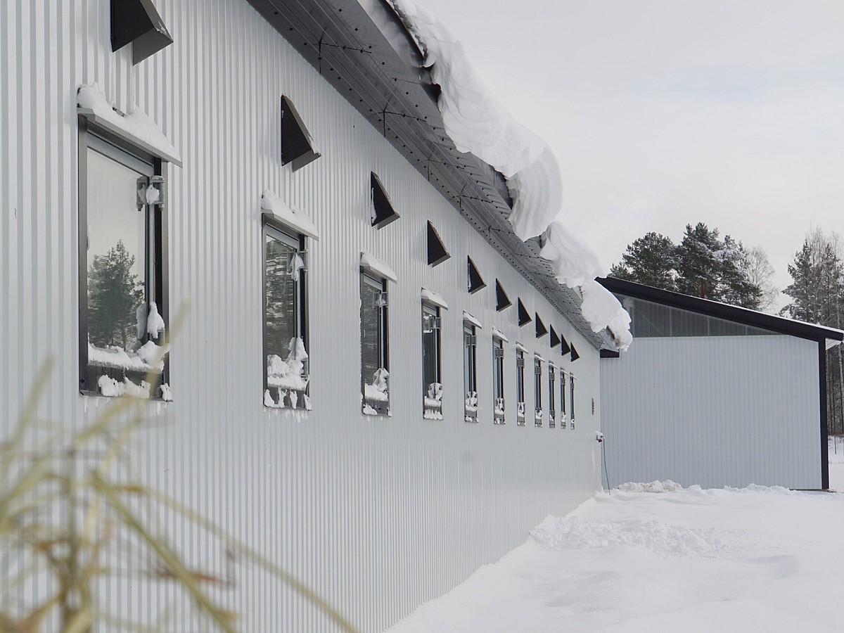 BORGA | Stall Finspång