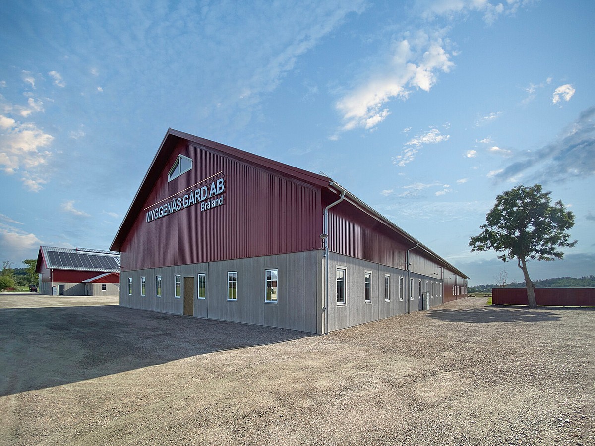 Maskinhall, Tjörn | BORGA