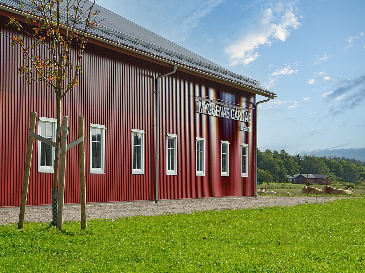 Maskinhall, Tjörn | BORGA