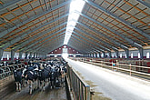 Rekryteringsstall, Öland