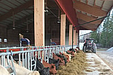 Djurstall, Sala | BORGA