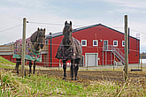 Ridhus, Lövånger | BORGA