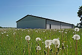 Ridhus, Avesta | BORGA
