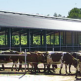 Djurstall, Töreboda | BORGA
