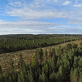 Maskinhall, Vännäs | BORGA