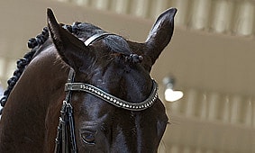 Borga SoundStop | Riding arena