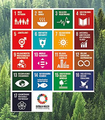 BORGA | FNs globala mål