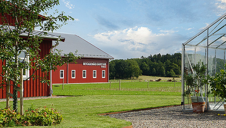 Maskinhallar | BORGA