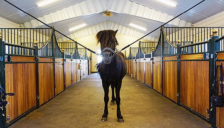 Sveriges ledande ridhusbyggare | BORGA