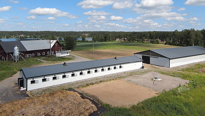 Stall och ridhus | BORGA