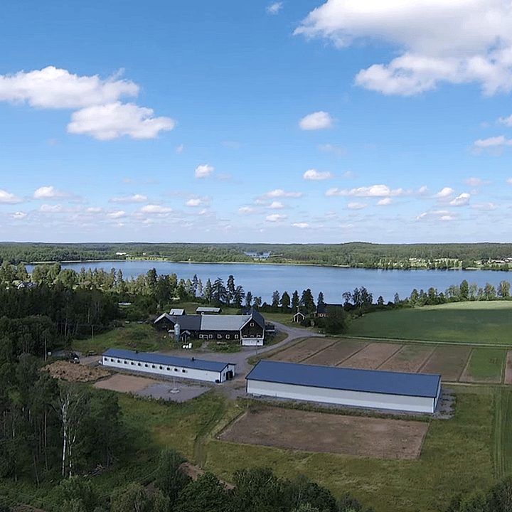 Kvalitet, miljö och arbetsmiljö | BORGA