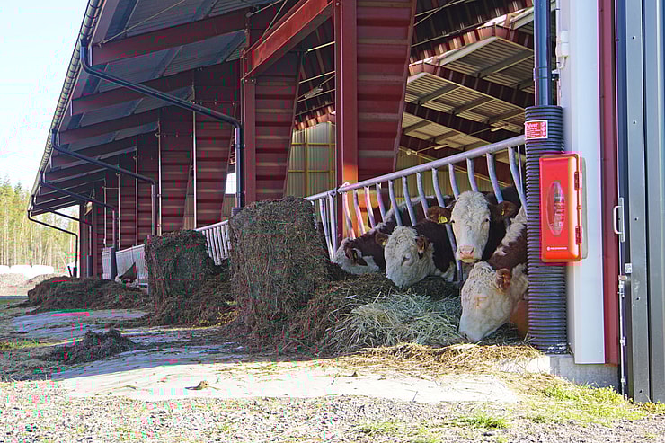 Kostall, Kristinehamn | BORGA